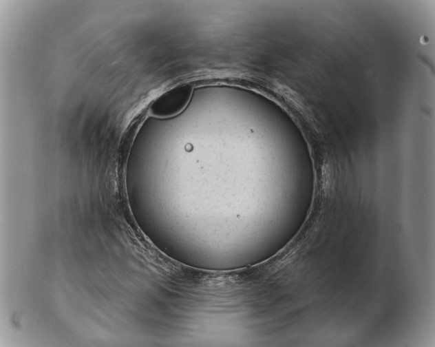 X0000102791165200809021108