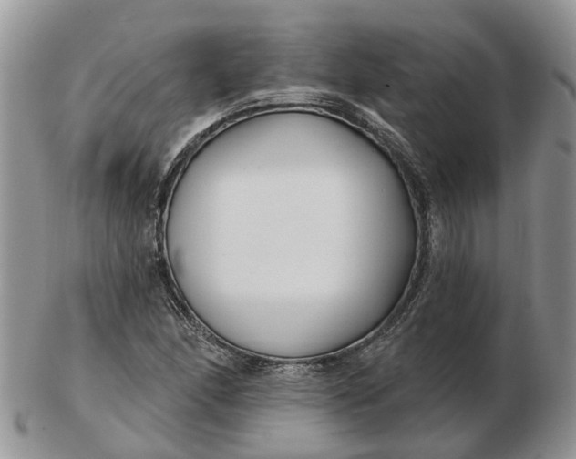 X0000102791166200809021108