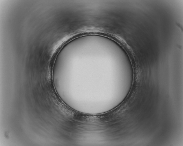 X0000102791167200809021108