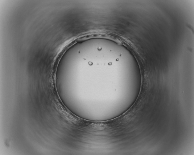 X0000102791168200809021108