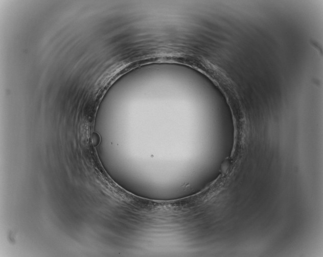 X0000102791169200809021108