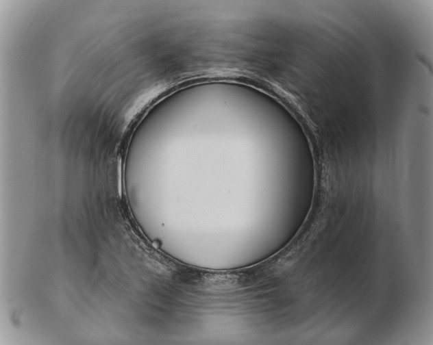 X0000102791171200809021108