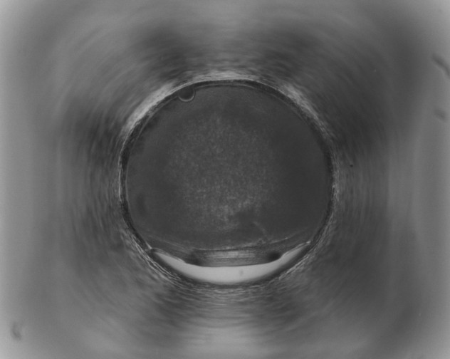 X0000102791173200809021108