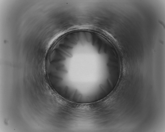 X0000102791174200809021108