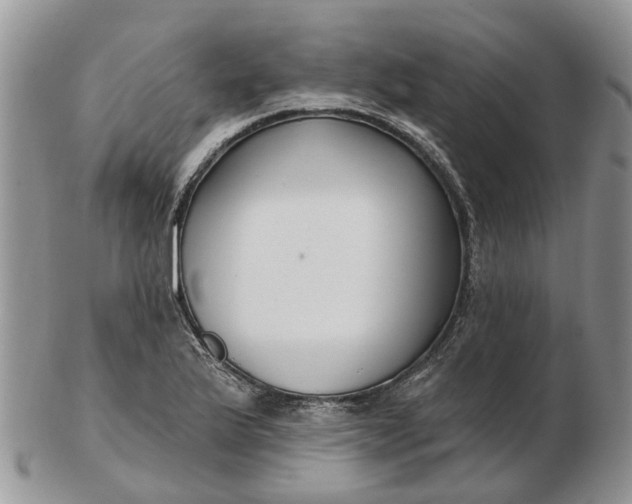 X0000102791175200809021108