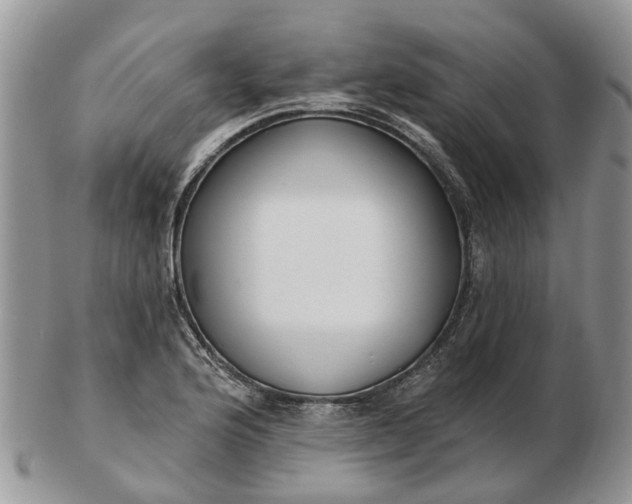 X0000102791176200809021108