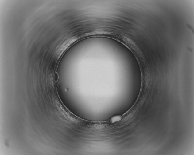 X0000102791177200809021108