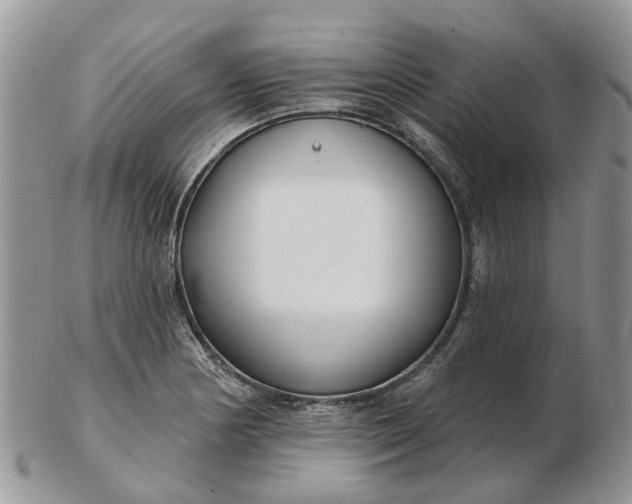 X0000102791178200809021108