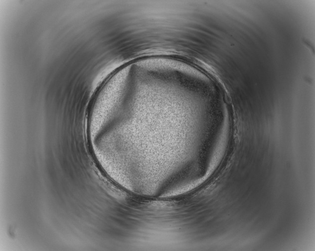 X0000102791179200809021108