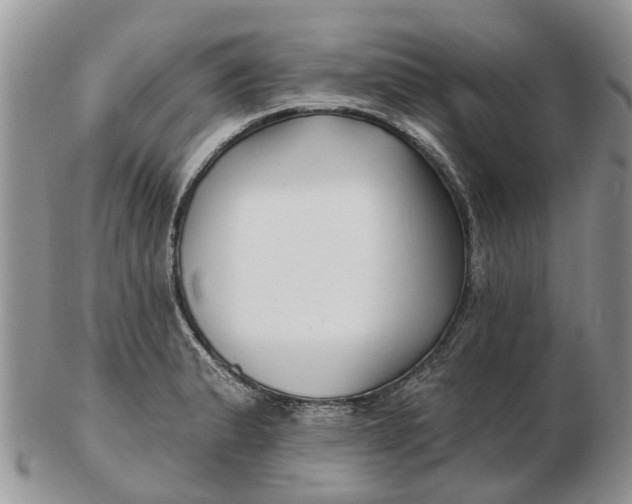 X0000102791183200809021108