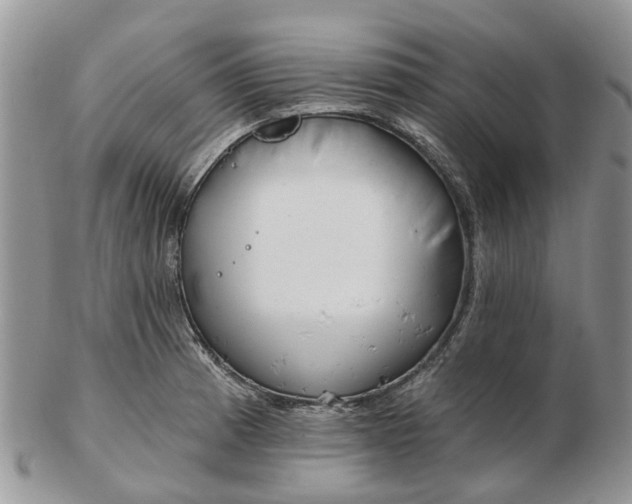 X0000102791185200809021108