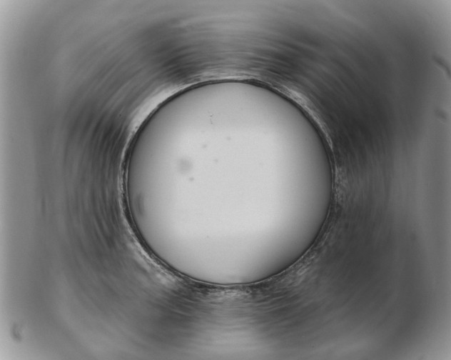 X0000102791187200809021108