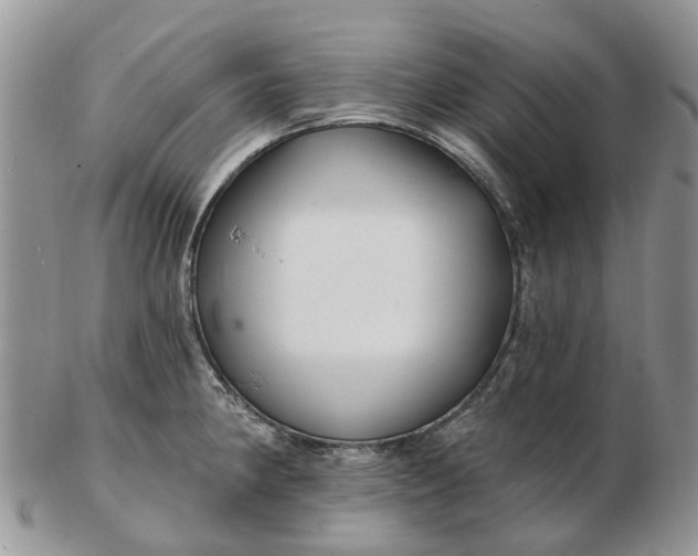 X0000102791190200809021107