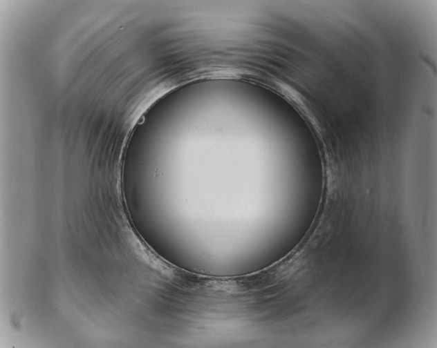 X0000102791194200809021107