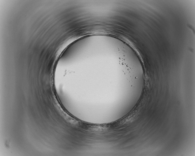 X0000102791195200809021107