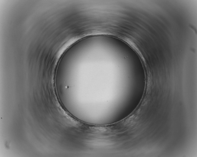 X0000102791197200809021107