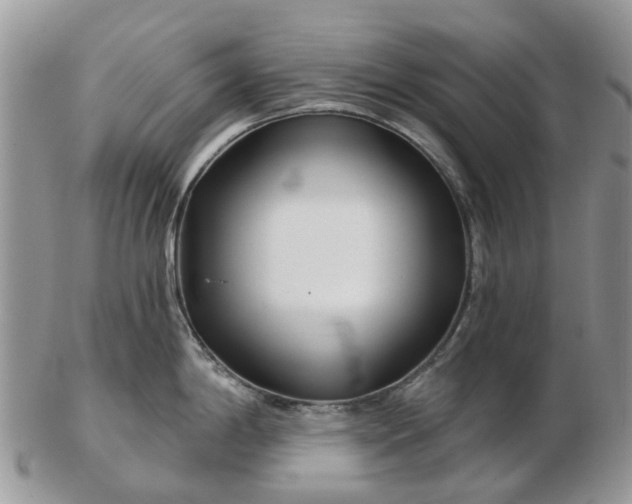 X0000102791198200809021107