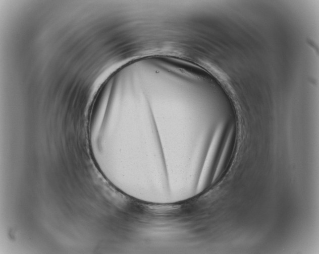 X0000102791200200809021107