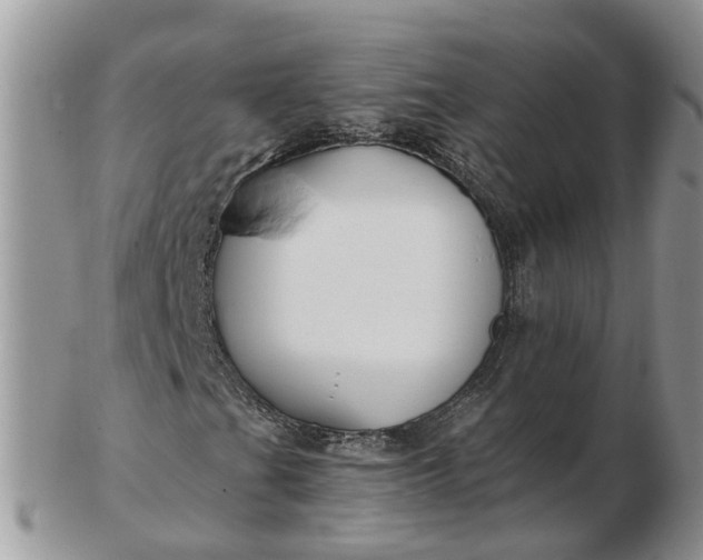 X0000102791201200809021106