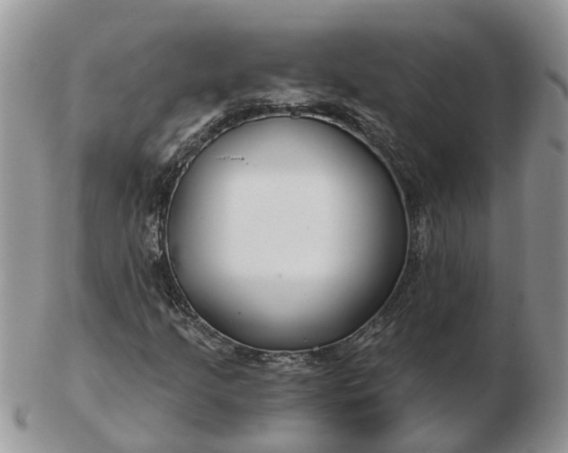 X0000102791205200809021107