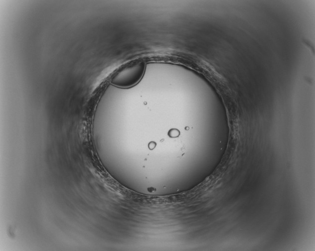 X0000102791208200809021107