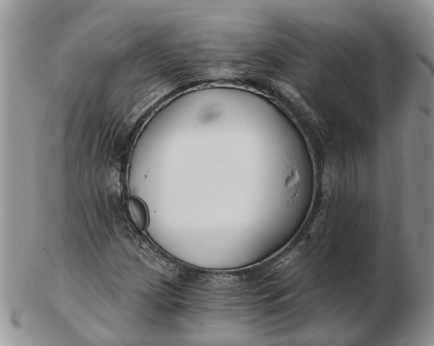 X0000102791209200809021107