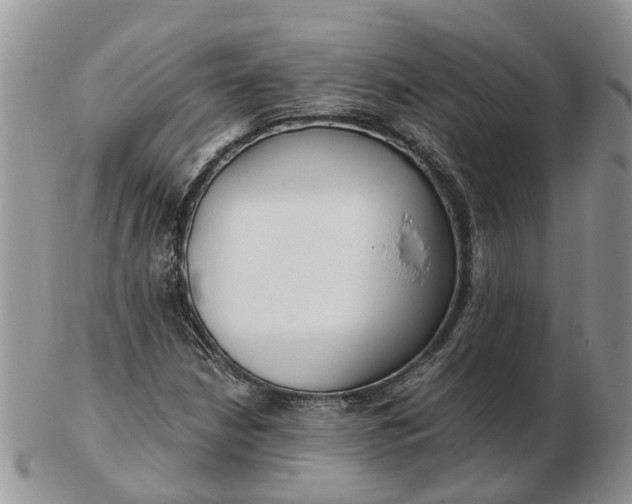 X0000102791210200809021107