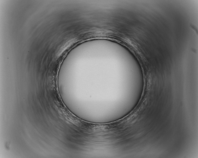 X0000102791211200809021107