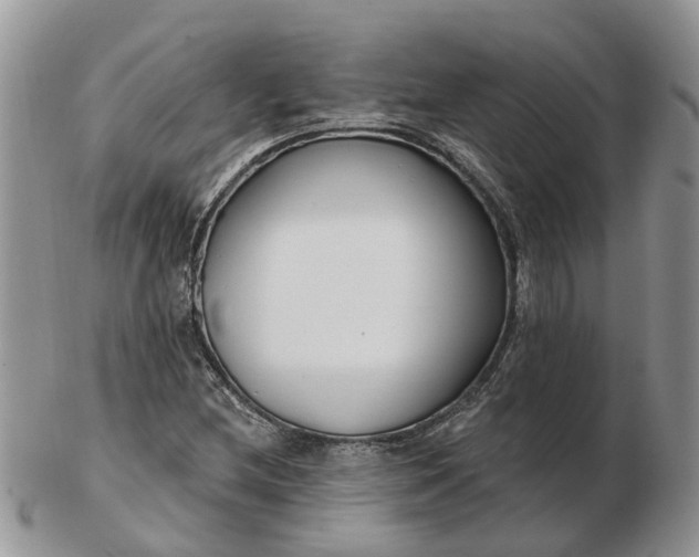 X0000102791212200809021107