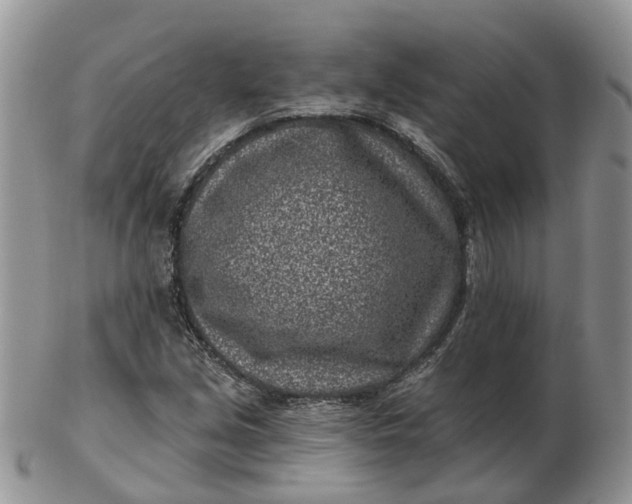 X0000102791213200809021107