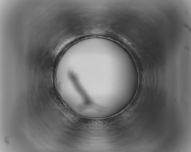 X0000102791214200809021107