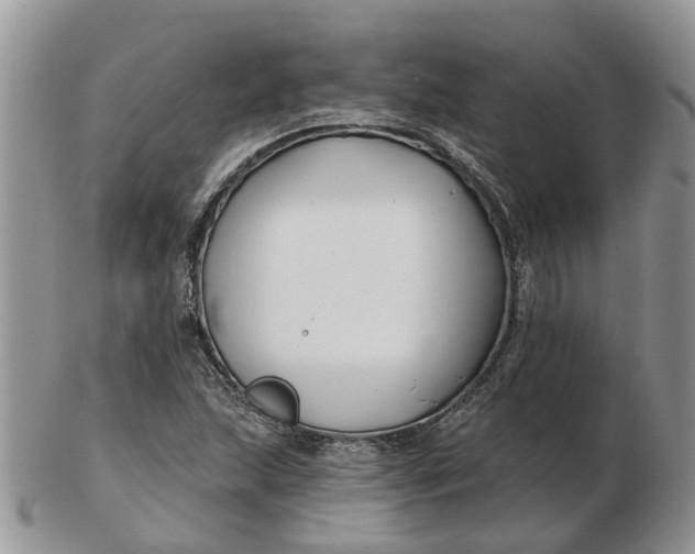 X0000102791215200809021107