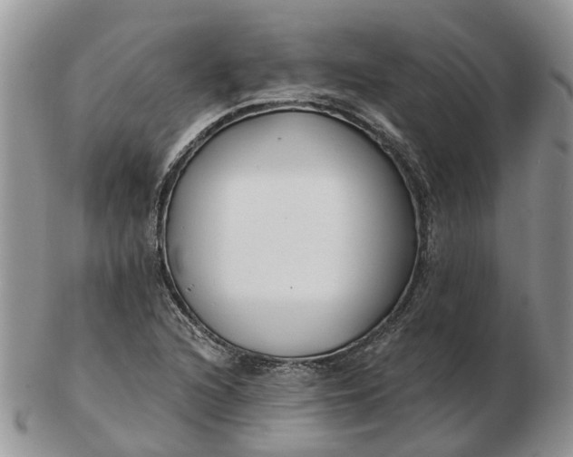 X0000102791216200809021107