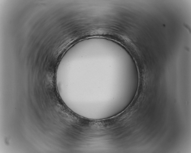 X0000102791217200809021107