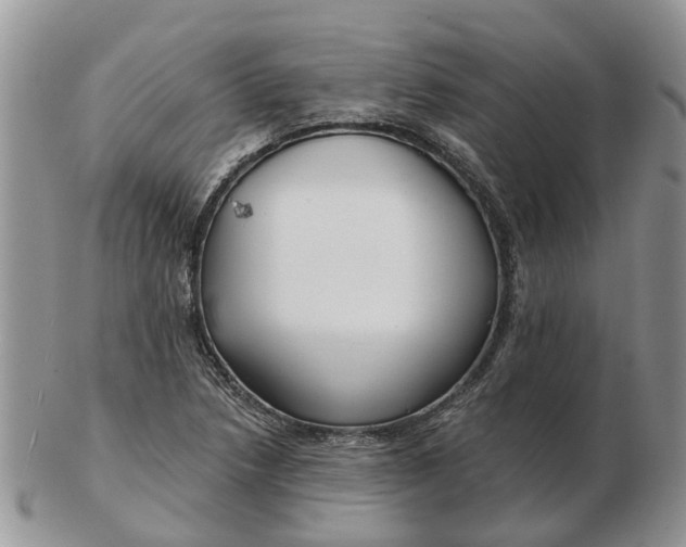 X0000102791218200809021107