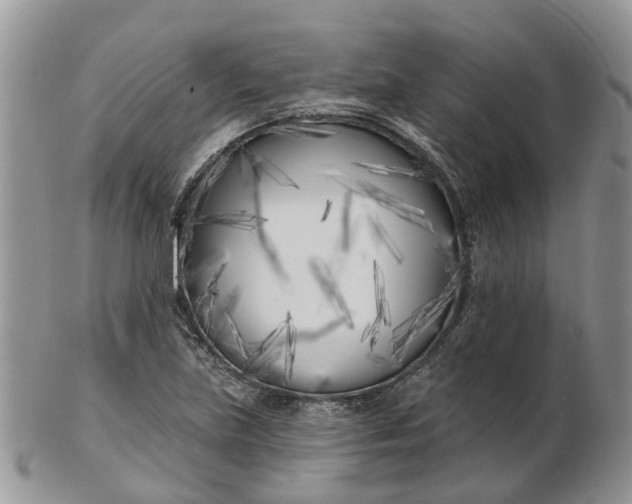 X0000102791219200809021107