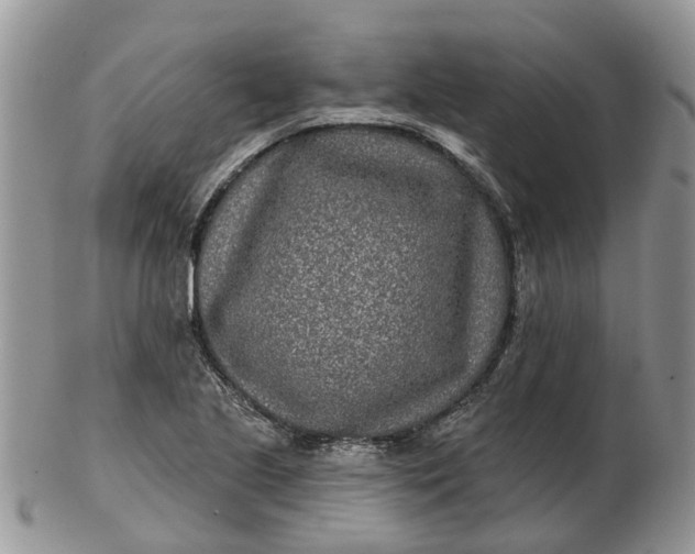 X0000102791221200809021107