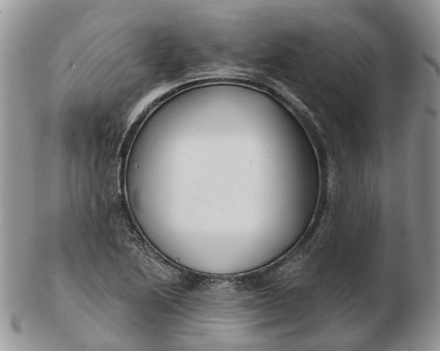 X0000102791222200809021107