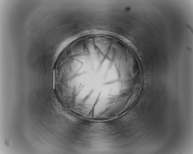 X0000102791223200809021107