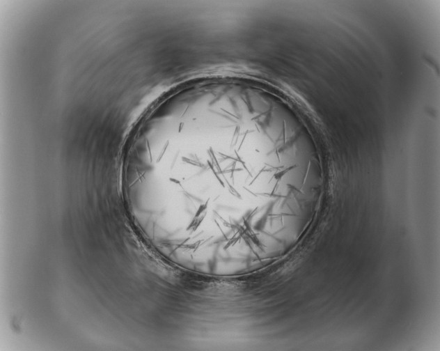 X0000102791224200809021107