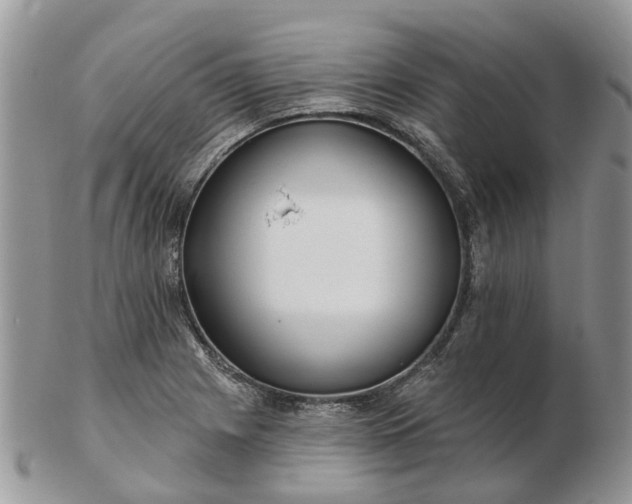 X0000102791225200809021107