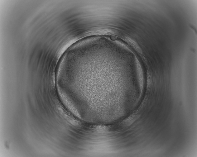 X0000102791226200809021107