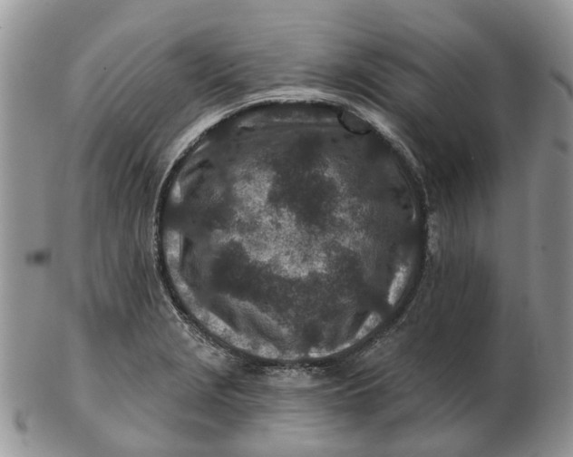 X0000102791229200809021107