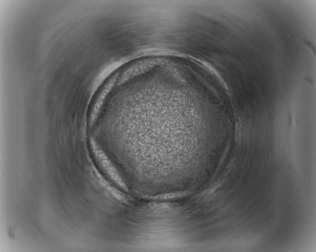 X0000102791231200809021107