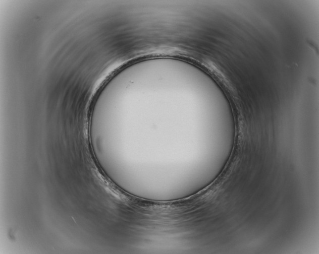 X0000102791232200809021107