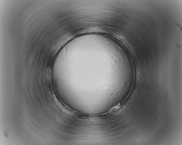 X0000102791233200809021107