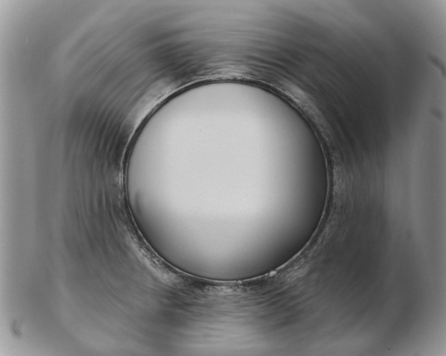 X0000102791234200809021107