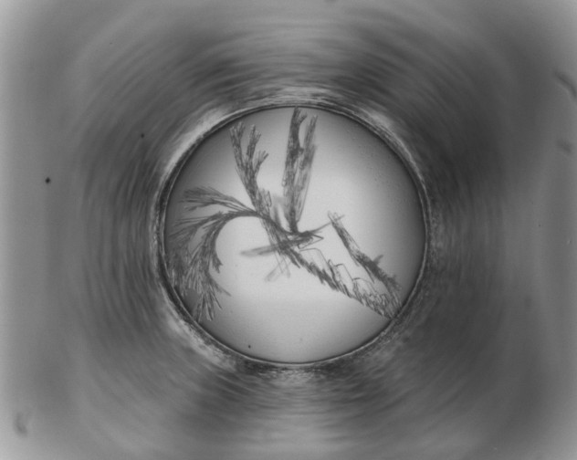 X0000102791235200809021107