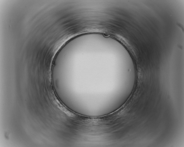 X0000102791236200809021107