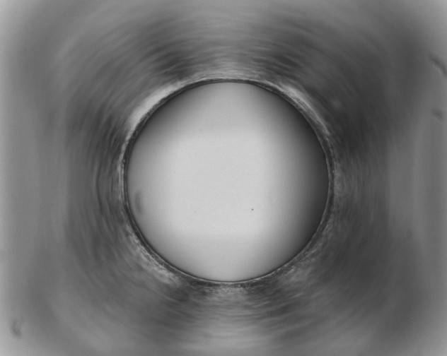 X0000102791238200809021107